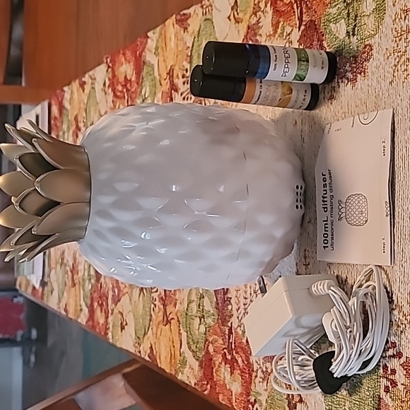 Diffuser - Picture 2 of 8